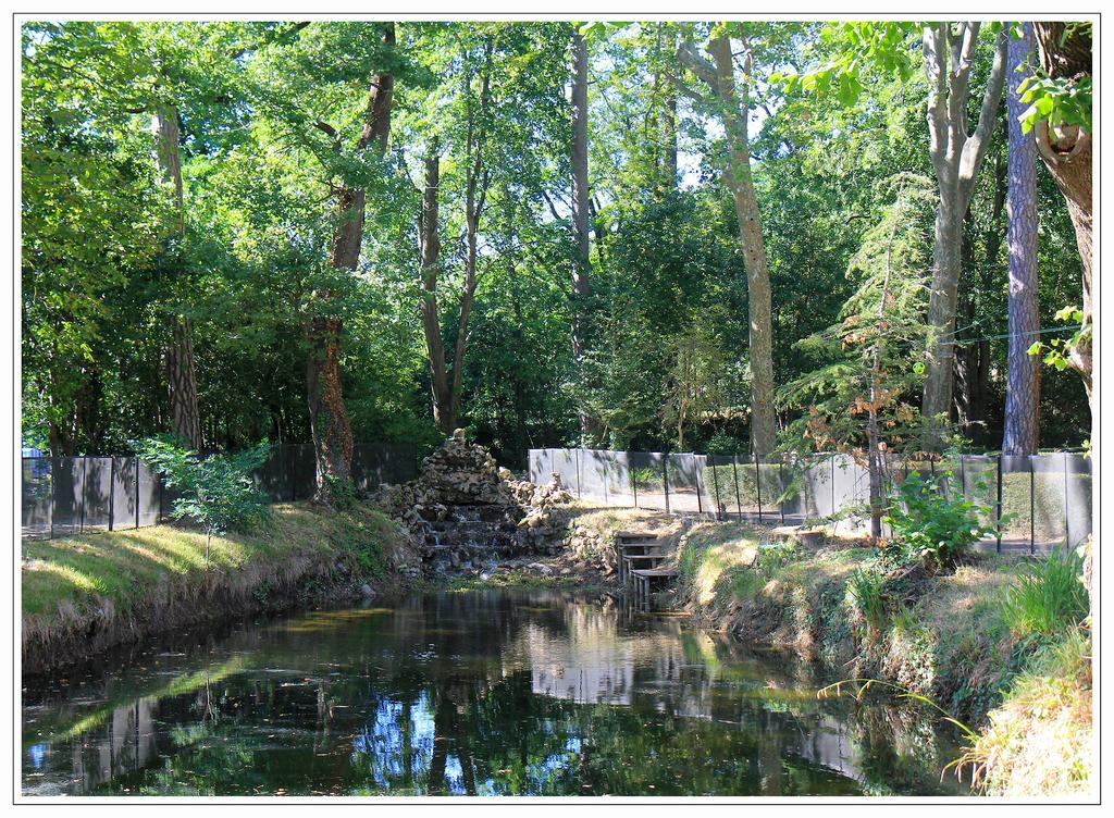 Domaine De Saint Charles Hotel Les Plans Bagian luar foto